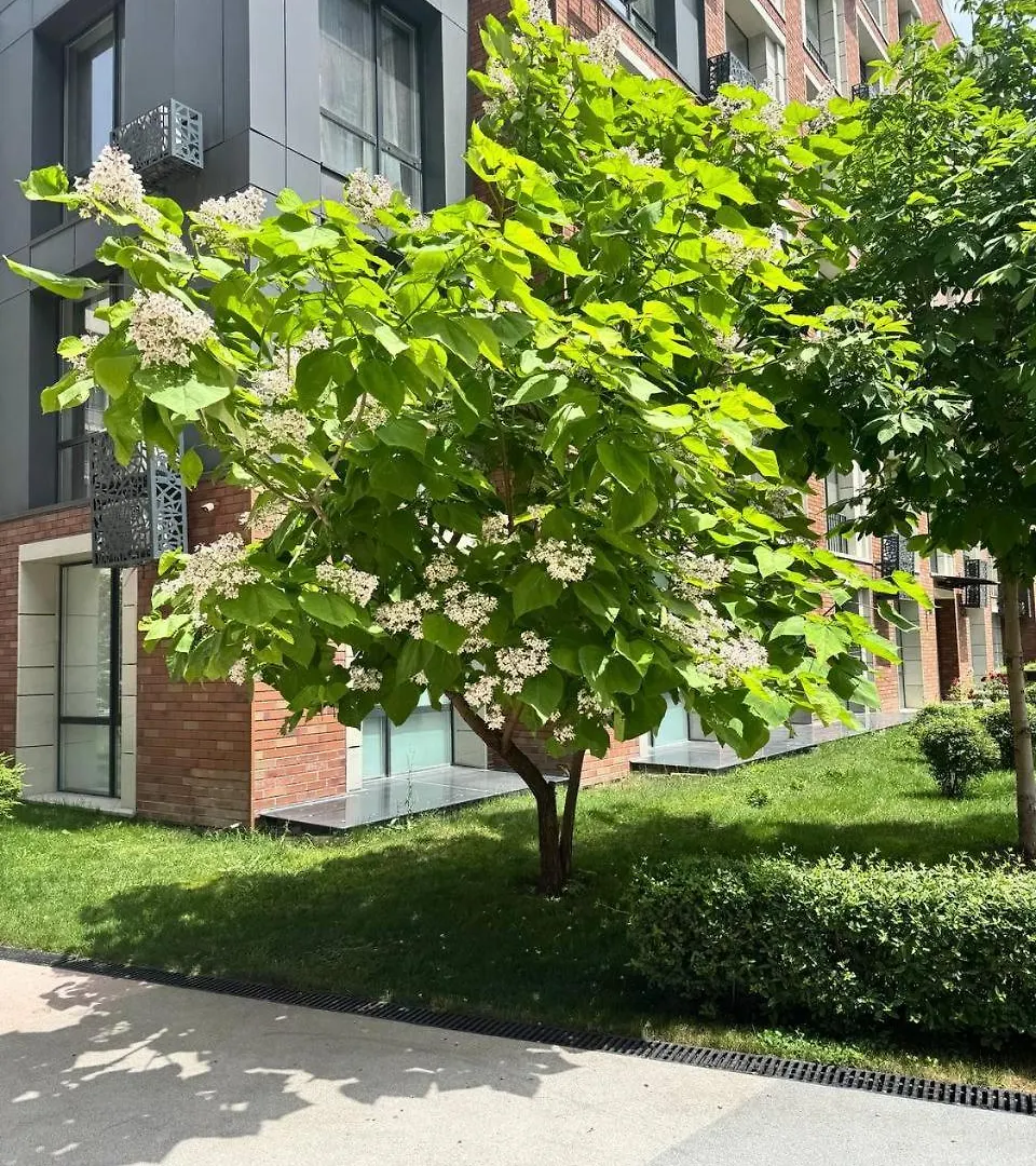 2 Room Apartment 4 You, Flat 105 Αλμάτι